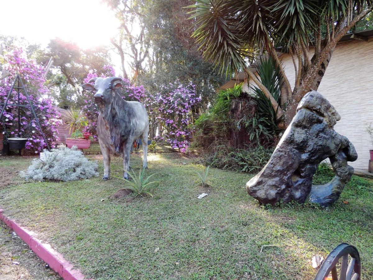 Pousada Juriti - Eco Hotel เซาฮอเก ภายนอก รูปภาพ